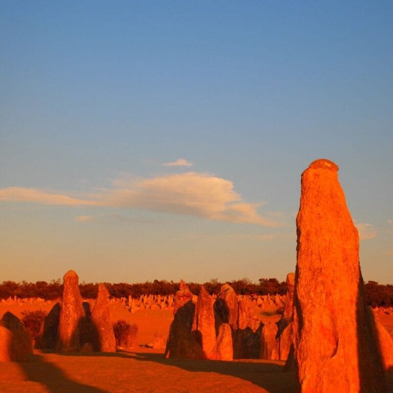 Unique limestone formations in the Pinnacles Desert, Western Australia, surrounded by golden sand and a clear blue sky