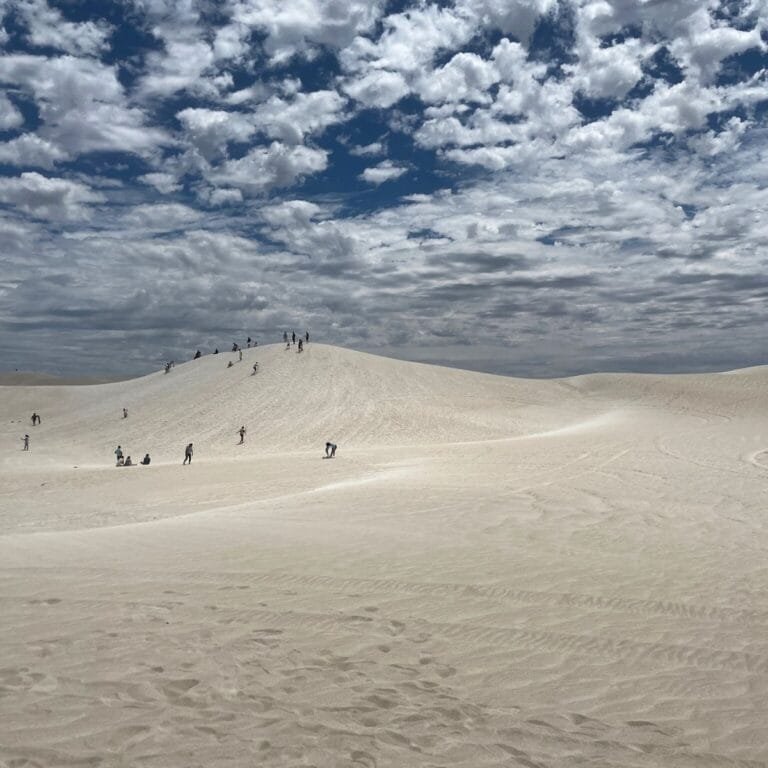 people sandboarding down a steep dune at Lancelin, kicking up a trail of golden sand