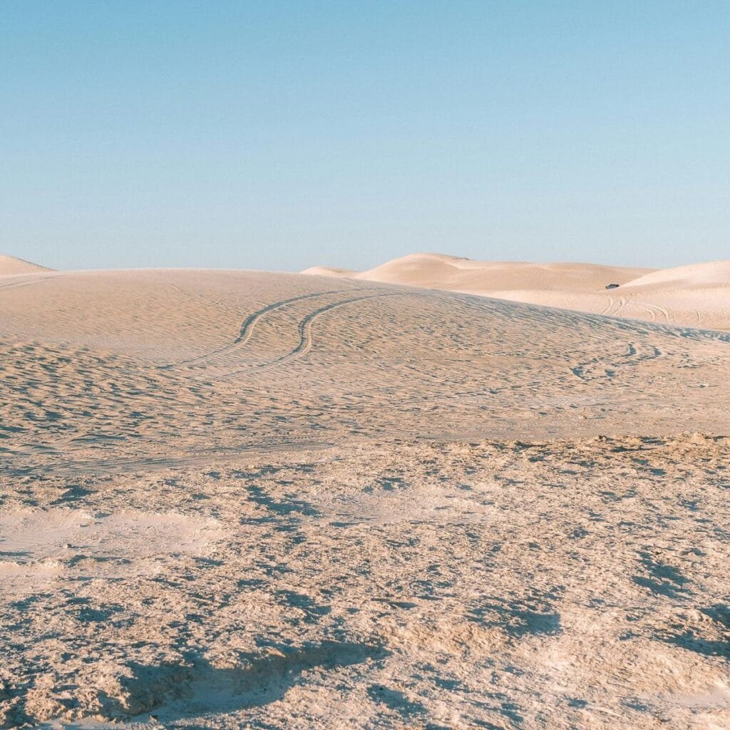 "A panoramic view of the golden sand dunes at Lancelin, Western Australia, under a clear blue sky